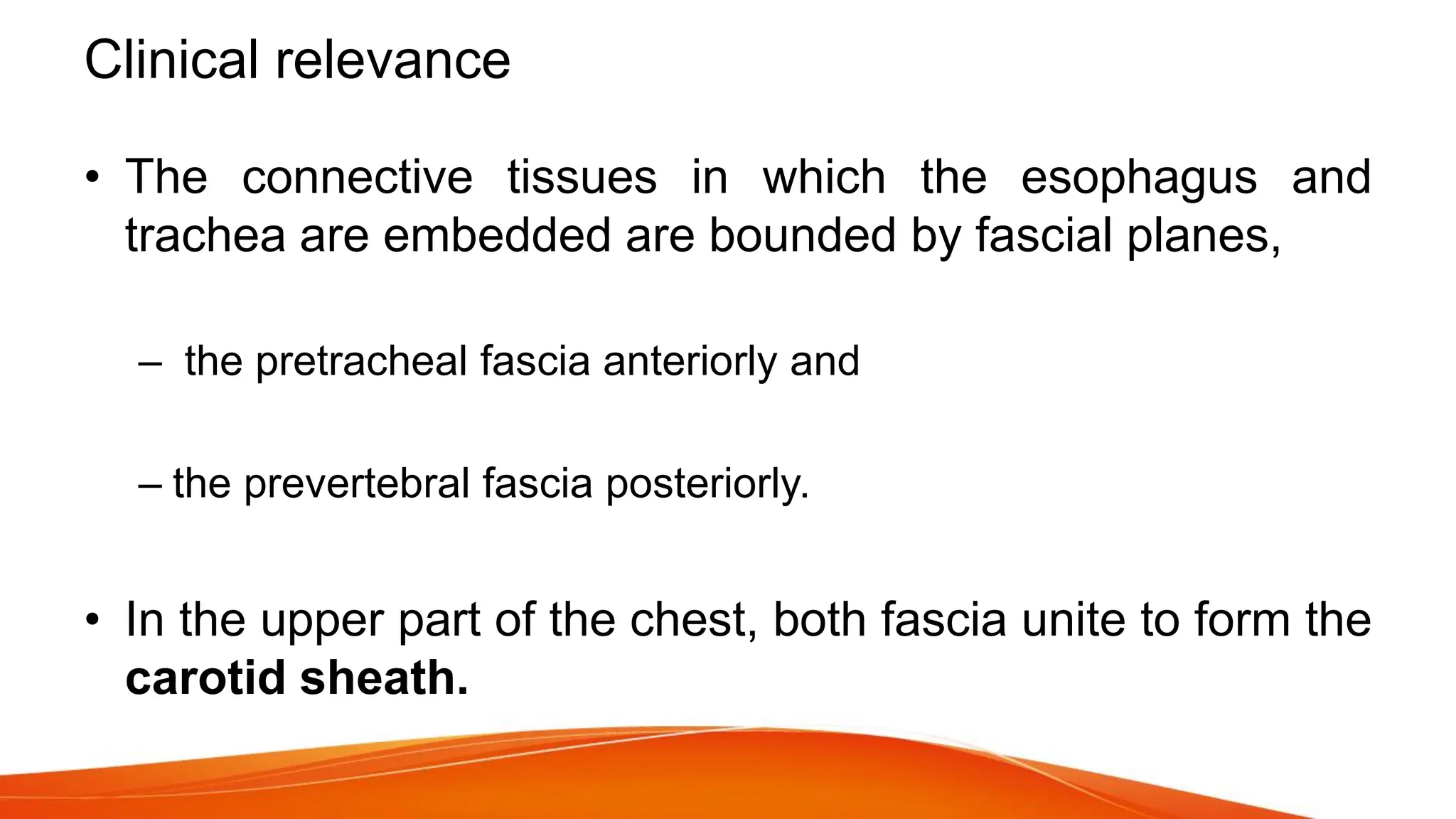 Clinical relevance
• The connective tissues in which the esophagus and
trachea are embedded are bounded by fascial planes,
– the pretracheal fascia anteriorly and
– the prevertebral fascia posteriorly.
• In the upper part of the chest, both fascia unite to form the
carotid sheath.
 