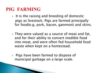  It is the raising and breeding of domestic
pigs as livestock. Pigs are farmed principally
for food(e.g. pork, bacon, gammon) and skins.
 They were valued as a source of meat and fat,
and for their ability to convert inedible food
into meat, and were often fed household food
waste when kept on a homestead.
 Pigs have been farmed to dispose of
municipal garbage on a large scale.
 