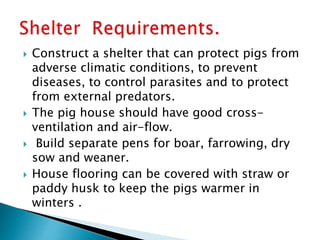  Construct a shelter that can protect pigs from
adverse climatic conditions, to prevent
diseases, to control parasites and to protect
from external predators.
 The pig house should have good cross-
ventilation and air-flow.
 Build separate pens for boar, farrowing, dry
sow and weaner.
 House flooring can be covered with straw or
paddy husk to keep the pigs warmer in
winters .
 
