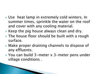  Use heat lamp in extremely cold winters. In
summer times, sprinkle the water on the roof
and cover with any cooling material.
 Keep the pig house always clean and dry.
 The house floor should be built with a rough
surface.
 Make proper draining channels to dispose of
any effluents.
 You can build 3-meter x 3-meter pens under
village conditions .
 