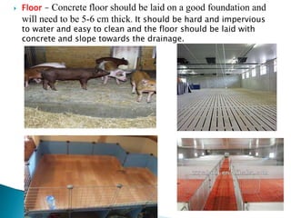  Floor - Concrete floor should be laid on a good foundation and
will need to be 5-6 cm thick. It should be hard and impervious
to water and easy to clean and the floor should be laid with
concrete and slope towards the drainage.
 
