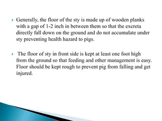  Generally, the floor of the sty is made up of wooden planks
with a gap of 1-2 inch in between them so that the excreta
directly fall down on the ground and do not accumulate under
sty preventing health hazard to pigs.
 The floor of sty in front side is kept at least one foot high
from the ground so that feeding and other management is easy.
Floor should be kept rough to prevent pig from falling and get
injured.
 
