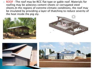  ROOF -The roof may be RCC flat type or gable roof. Materials for
roofing may be asbestos cement sheets or corrugated steel
sheets.In the regions of extreme climatic conditions, the roof may
be insulated by providing a layer of thatching to reduce severity of
the heat inside the pig sty.
 