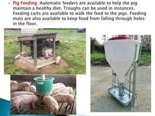  Pig Feeding :Automatic feeders are available to help the pig
maintain a healthy diet. Troughs can be used in instances.
Feeding carts are available to walk the feed to the pigs. Feeding
mats are also available to keep food from falling through holes
in the floor.
 