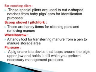 Ear notching pliers :
 These special pliers are used to cut v-shaped
notches from baby pigs’ ears for identification
purposes.
Scoop shovel / pitchfork :
 These are handy items for cleaning pens and
removing manure
Wheelbarrow :
 A handy tool for transferring manure from a pen to
manure storage area
Pig snare :
 A pig snare is a device that loops around the pig’s
upper jaw and holds it still while you perform
necessary management practices.
 