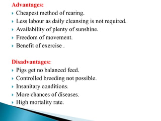 Advantages:
 Cheapest method of rearing.
 Less labour as daily cleansing is not required.
 Availability of plenty of sunshine.
 Freedom of movement.
 Benefit of exercise .
Disadvantages:
 Pigs get no balanced feed.
 Controlled breeding not possible.
 Insanitary conditions.
 More chances of diseases.
 High mortality rate.
 