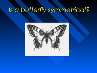Is a butterfly symmetrical?
 