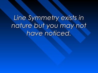 Line Symmetry exists in
nature but you may not
     have noticed.
 