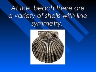 At the  beach there are
a variety of shells with line
        symmetry.
 
