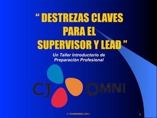 “ DESTREZAS CLAVES
      PARA EL
SUPERVISOR Y LEAD ”
   Un Taller Introductorio de
   Preparación Profesional




          © TEAMWORKS 2011      1
                                1
 