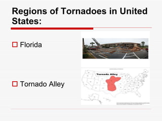 Regions of Tornadoes in United States: Florida  Tornado Alley  