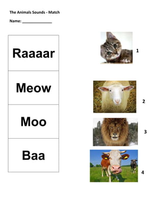The Animals Sounds - Match

Name: ______________




                             1
 Raaaar

   Meow
                                 2



     Moo
                                 3



      Baa
                                 4
 