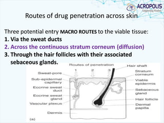 Routes of drug penetration across skin
Three potential entry MACRO ROUTES to the viable tissue:
1. Via the sweat ducts
2. Across the continuous stratum corneum (diffusion)
3. Through the hair follicles with their associated
sebaceous glands.
 