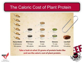 The Caloric Cost of Plant Protein

 