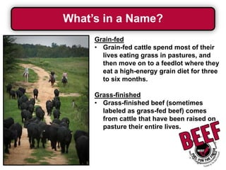 What’s in a Name?
Grain-fed
• Grain-fed cattle spend most of their
lives eating grass in pastures, and
then move on to a feedlot where they
eat a high-energy grain diet for three
to six months.

Grass-finished
• Grass-finished beef (sometimes
labeled as grass-fed beef) comes
from cattle that have been raised on
pasture their entire lives.

 