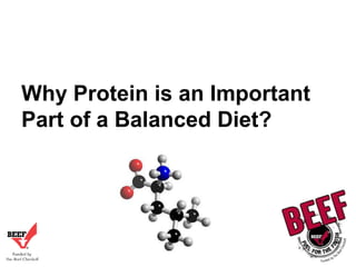 Why Protein is an Important
Part of a Balanced Diet?

 