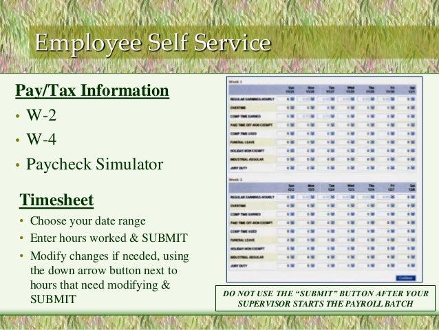paycheck simulator