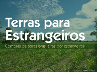 Imagem: Embrapa
Terras para
Estrangeiros
Compras de terras brasileiras por estrangeiros
 