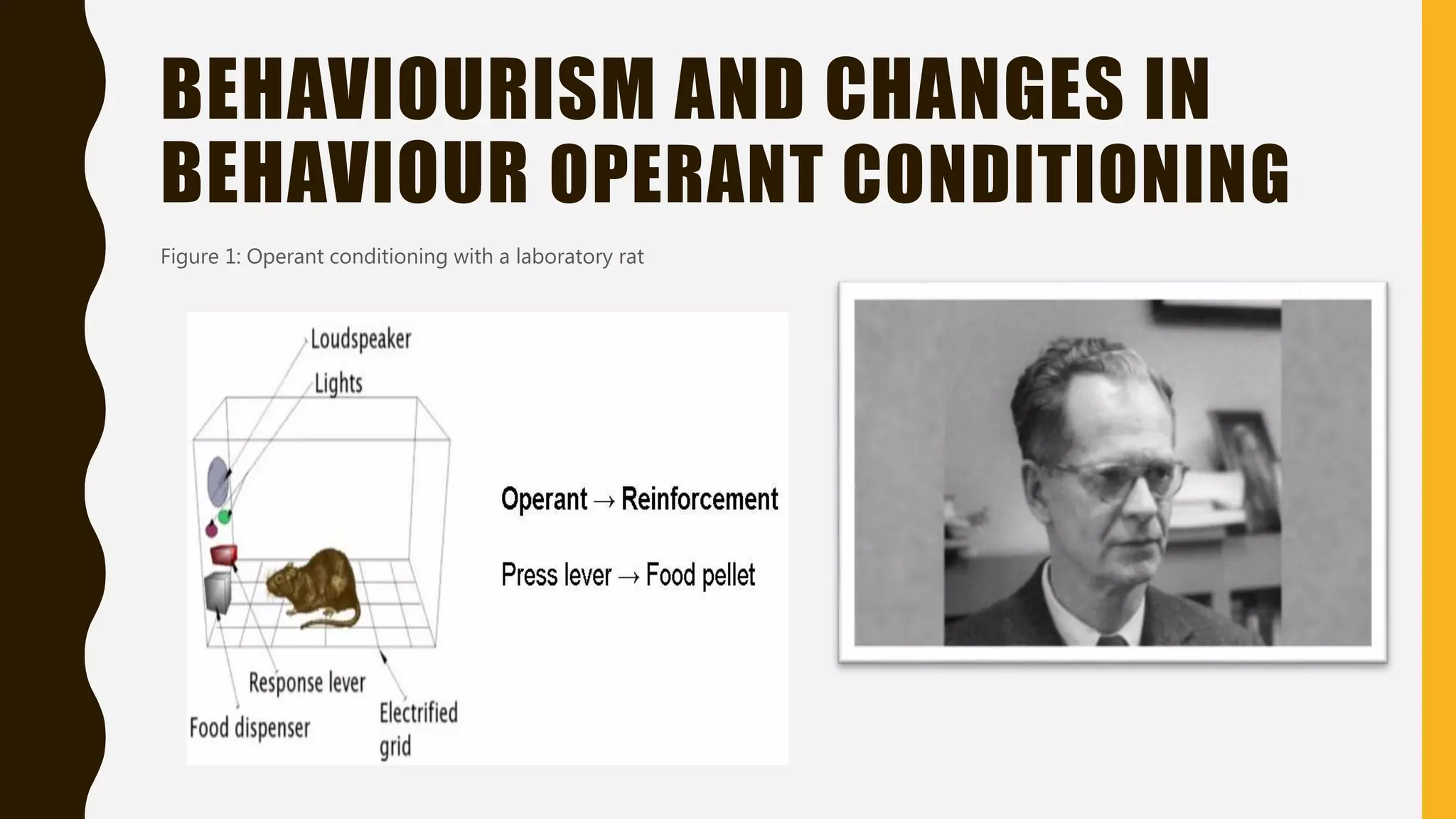 BEHAVIOURISM AND CHANGES IN
BEHAVIOUR OPERANT CONDITIONING
Figure 1: Operant conditioning with a laboratory rat
 