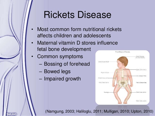 What is a dissertation image