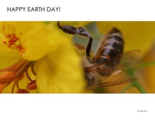 HAPPY EARTH DAY!




                   22 April 2011
 
