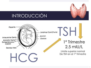 INTRODUCCIÓN
TSH
HCG
1º Trimestre
2.5 mIU/L
Limite superior normal
De TSH en el 1º Trimestre
3
 