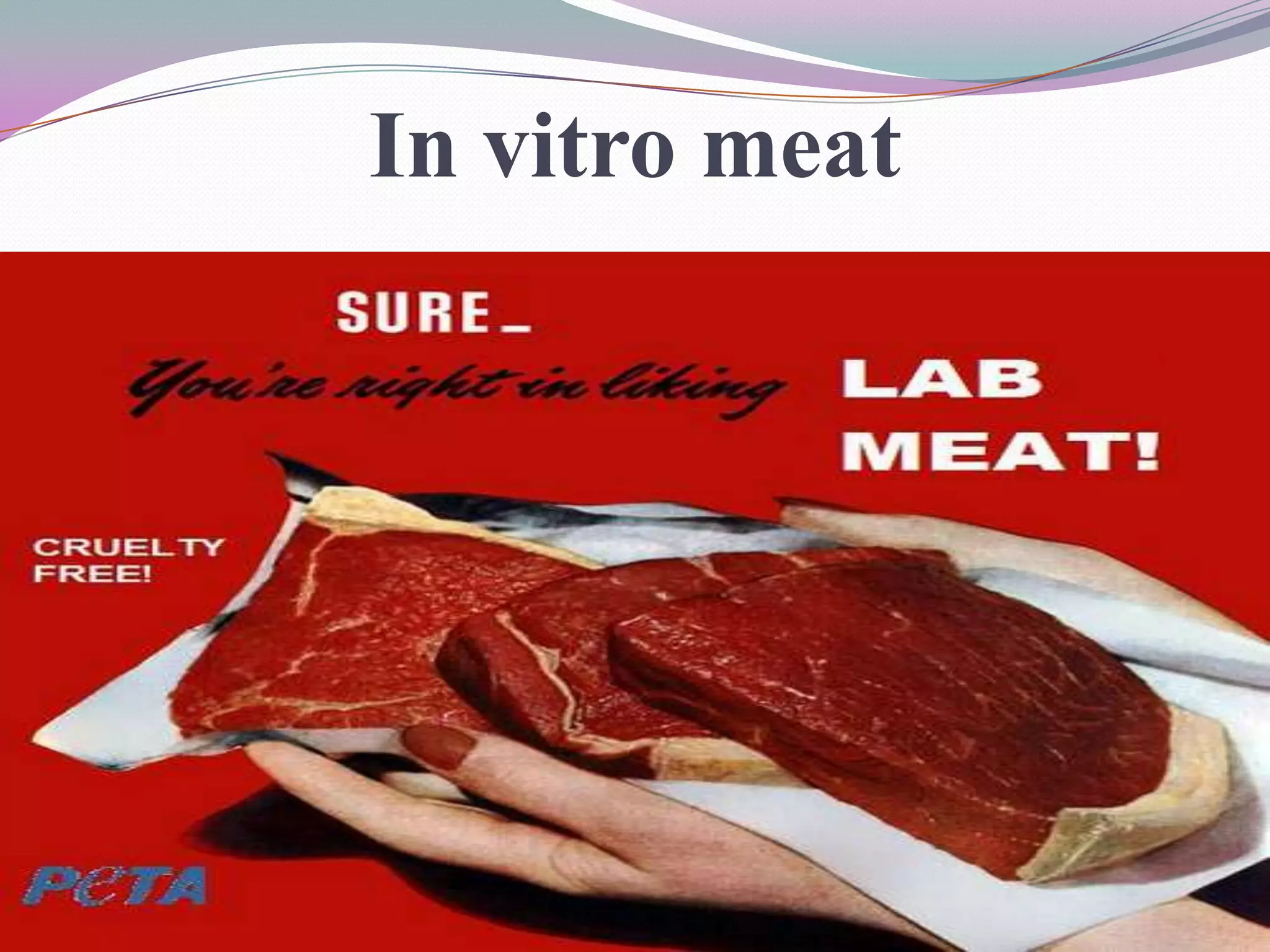 In vitro meat
 