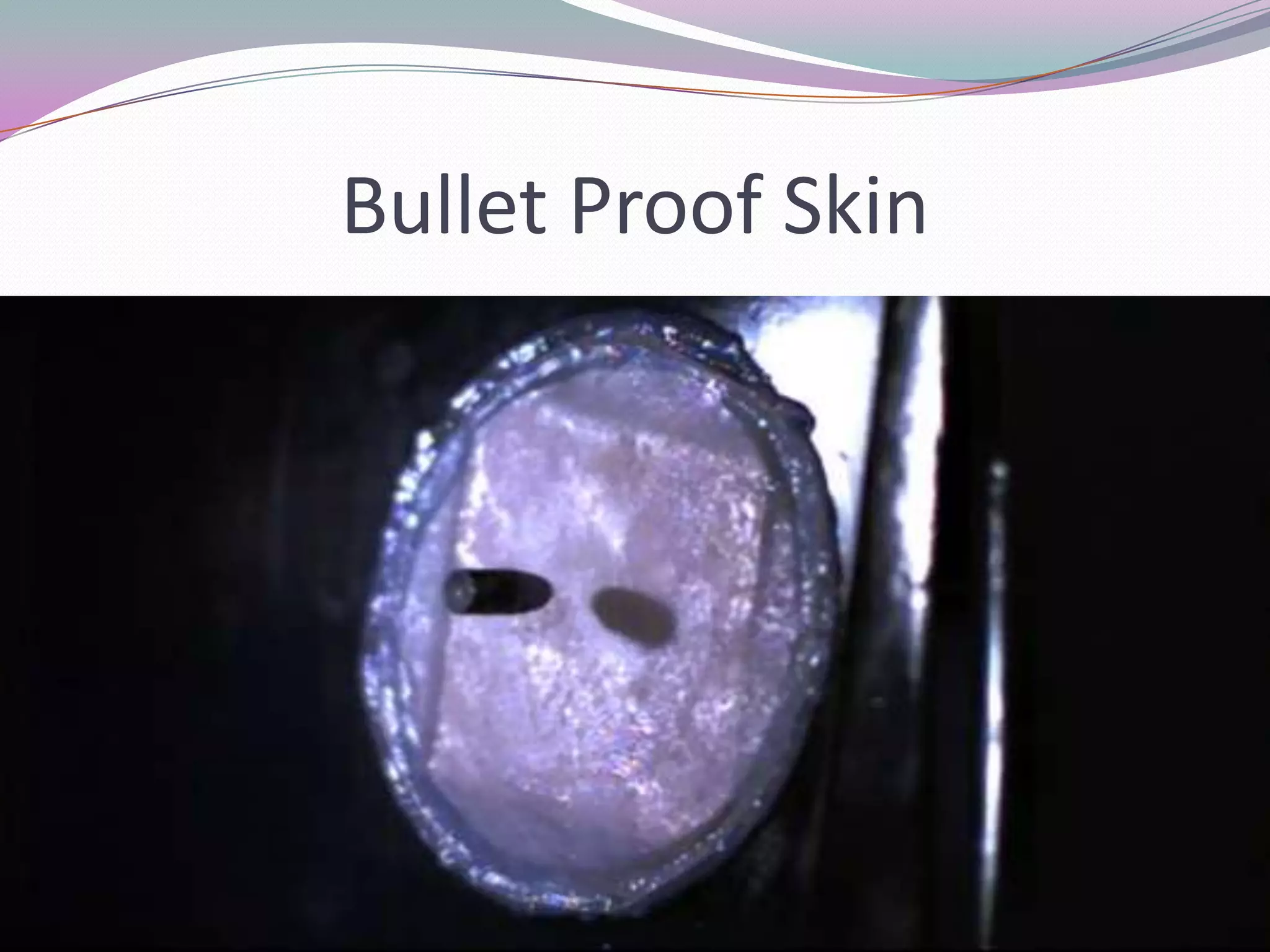 Bullet Proof Skin
 