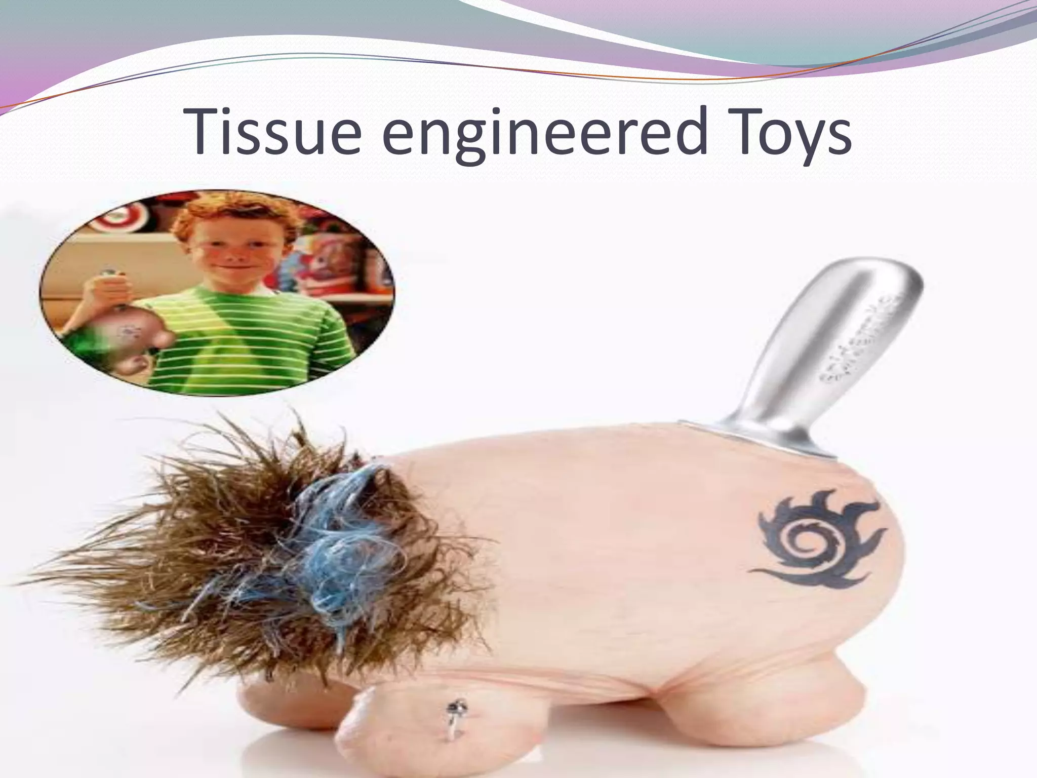 Tissue engineered Toys
 