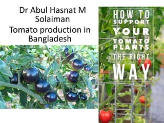 Dr Abul Hasnat M
Solaiman
Tomato production in
Bangladesh
 