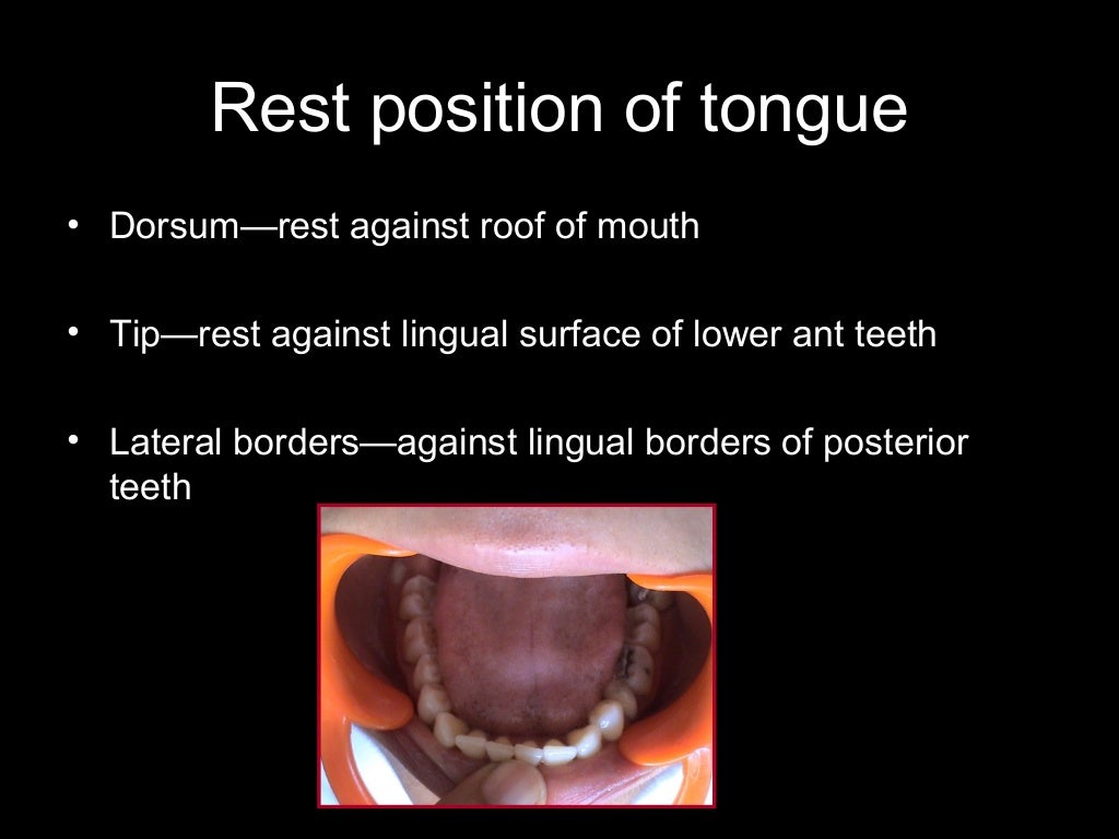 tongue and palate