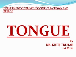 DEPARTMENT OF PROSTHODONTICS & CROWN AND
BRIDGE
TONGUEBY
DR. KRITI TREHAN
1st MDS
 