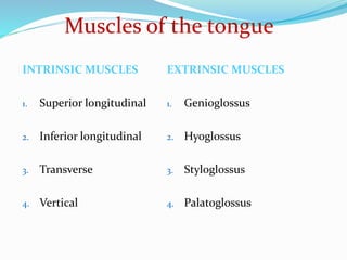Muscles of the tongue
INTRINSIC MUSCLES
1. Superior longitudinal
2. Inferior longitudinal
3. Transverse
4. Vertical
EXTRINSIC MUSCLES
1. Genioglossus
2. Hyoglossus
3. Styloglossus
4. Palatoglossus
 