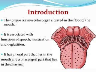 Introduction
 The tongue is a muscular organ situated in the floor of the
mouth.
 It is associated with
functions of speech, mastication
and deglutition.
 It has an oral part that lies in the
mouth and a pharyngeal part that lies
in the pharynx.
 