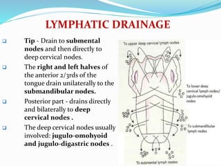 LYMPHATIC DRAINAGE
 Tip - Drain to submental
nodes and then directly to
deep cervical nodes.
 The right and left halves of
the anterior 2/3rds of the
tongue drain unilaterally to the
submandibular nodes.
 Posterior part - drains directly
and bilaterally to deep
cervical nodes .
 The deep cervical nodes usually
involved: jugulo-omohyoid
and jugulo-digastric nodes .
 