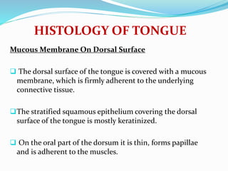 HISTOLOGY OF TONGUE
Mucous Membrane On Dorsal Surface
 The dorsal surface of the tongue is covered with a mucous
membrane, which is firmly adherent to the underlying
connective tissue.
The stratified squamous epithelium covering the dorsal
surface of the tongue is mostly keratinized.
 On the oral part of the dorsum it is thin, forms papillae
and is adherent to the muscles.
 