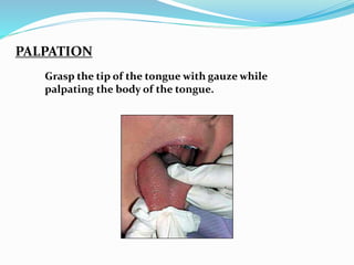 PALPATION
Grasp the tip of the tongue with gauze while
palpating the body of the tongue.
 