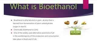 Bioethanol from banana and calotrpic | PPTX