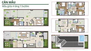 CĂN MẪU
Mẫu giữa 4 tầng 7.5x20m
 