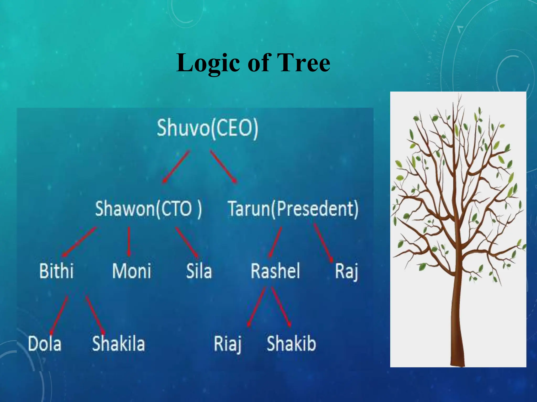 Logic of Tree
 