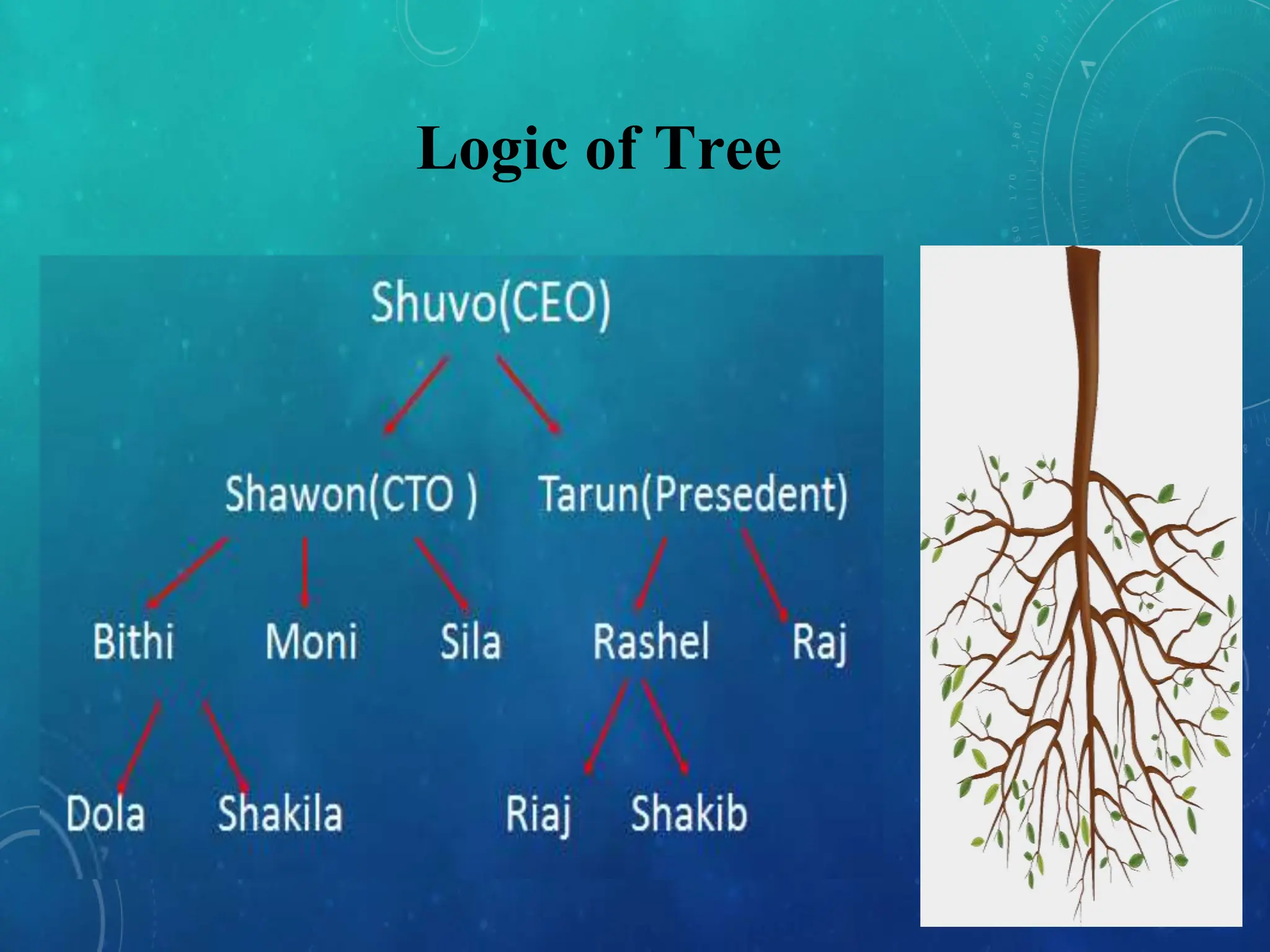 Logic of Tree
 