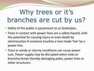 Why trees or it’s
 branches are cut by us?
 Safety of the public is paramount to us Godrejites.
 Trees in contact with power lines are a safety hazard, with
  the potential for causing injury or even death by
  electrocution if someone touches a tree made ‘live’ by a
  power line.
 Trees in windy or stormy conditions can cause power
  cuts. Power supply may be disrupted when trees or
  branches break thereby damaging poles, power lines or
  other structures.
 