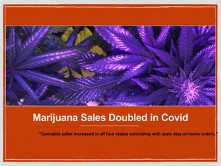 Marijuana Sales Doubled in Covid
“Cannabis sales increased in all four states coinciding with state stay-at-home orders.”
 