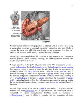 16




As many as half of the world's population is infected with H. pylori. Those living
in developing countries or crowded, unsanitary conditions are most likely to
contract the bacterium, which is passed from person to person. H. pylori only
grows in the stomach, and is usually contracted during childhood.

Interestingly, many people have this organism in their stomach, but don't get an
ulcer or gastritis. Coffee drinking, smoking, and drinking alcohol increase your
risk for an ulcer from H. Pylori

A major causative factor (60% of gastric and up to 90% of duodenal ulcers) is
chronic inflammation due to Helicobacter pylori that colonizes the antral mucosa.
The immune system is unable to clear the infection, despite the appearance of
antibodies. Thus, the bacterium can cause a chronic active gastritis (type B
gastritis), resulting in a defect in the regulation of gastrin production by that part of
the stomach, and gastrin secretion can either be decreased (most cases) resulting in
hypo- or achlorhydria or increased. Gastrin stimulates the production of gastric
acid by parietal cells and, in H. pylori colonization responses that increase gastrin,
the increase in acid can contribute to the erosion of the mucosa and therefore ulcer
formation.

Another major cause is the use of NSAIDs (see above). The gastric mucosa
protects itself from gastric acid with a layer of mucus, the secretion of which is
stimulated by certain prostaglandins. NSAIDs block the function of
cyclooxygenase 1 (cox-1), which is essential for the production of these
 