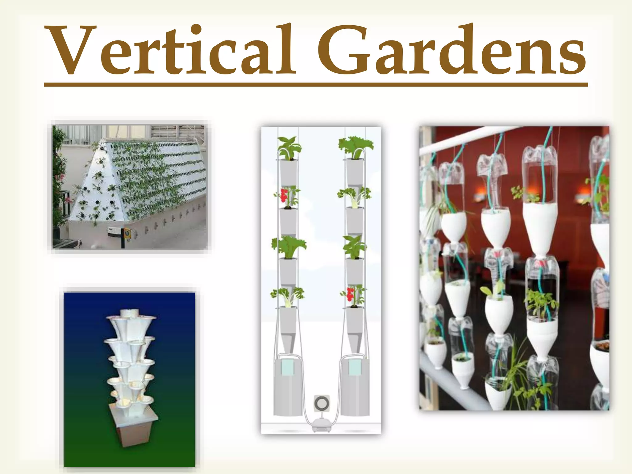 Vertical Gardens
 