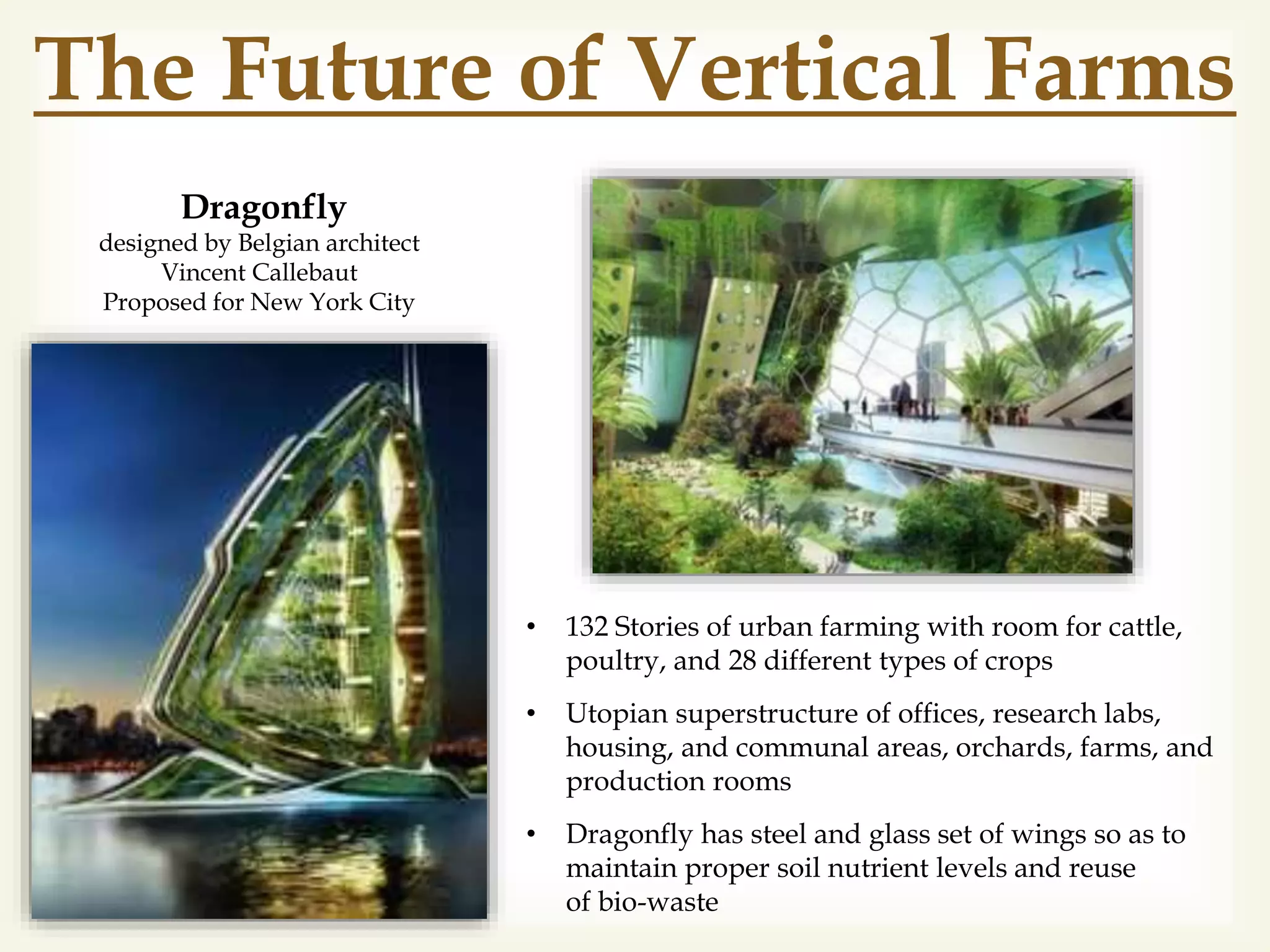 The Future of Vertical Farms
• 132 Stories of urban farming with room for cattle,
poultry, and 28 different types of crops
• Utopian superstructure of offices, research labs,
housing, and communal areas, orchards, farms, and
production rooms
• Dragonfly has steel and glass set of wings so as to
maintain proper soil nutrient levels and reuse
of bio-waste
Dragonfly
designed by Belgian architect
Vincent Callebaut
Proposed for New York City
 