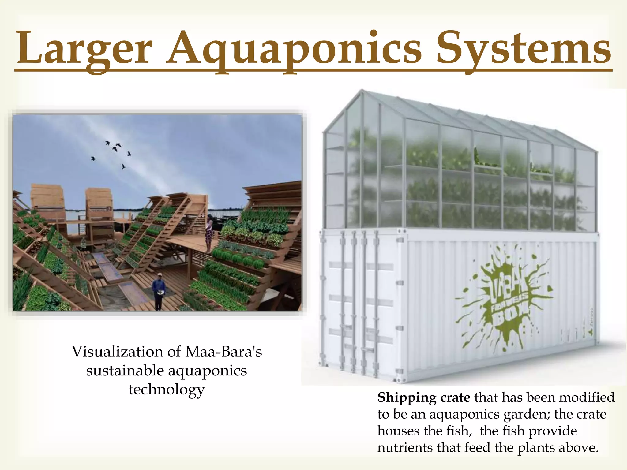 Larger Aquaponics Systems
Shipping crate that has been modified
to be an aquaponics garden; the crate
houses the fish, the fish provide
nutrients that feed the plants above.
Visualization of Maa-Bara's
sustainable aquaponics
technology
 