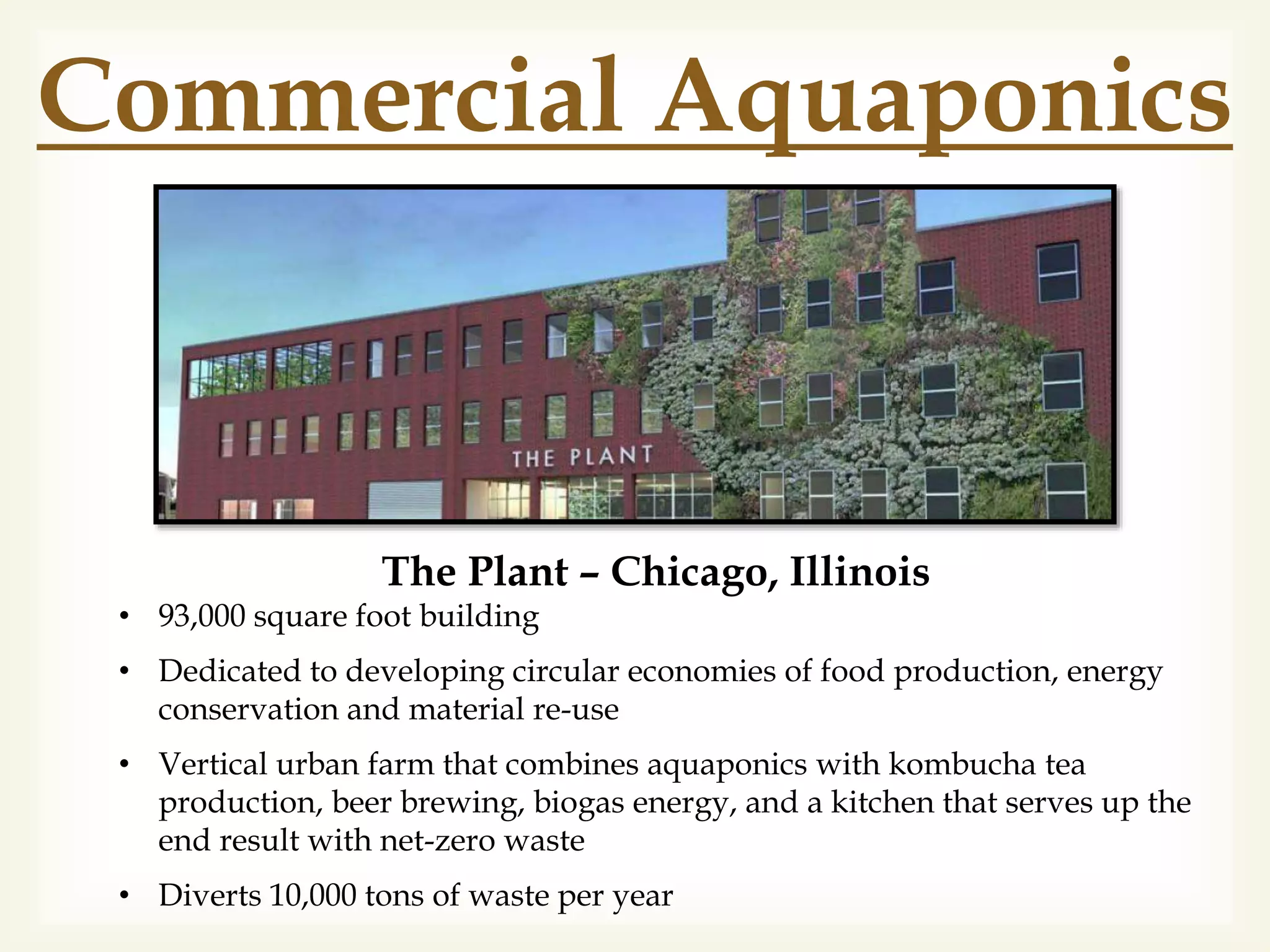 
Commercial Aquaponics
The Plant – Chicago, Illinois
• 93,000 square foot building
• Dedicated to developing circular economies of food production, energy
conservation and material re-use
• Vertical urban farm that combines aquaponics with kombucha tea
production, beer brewing, biogas energy, and a kitchen that serves up the
end result with net-zero waste
• Diverts 10,000 tons of waste per year
 