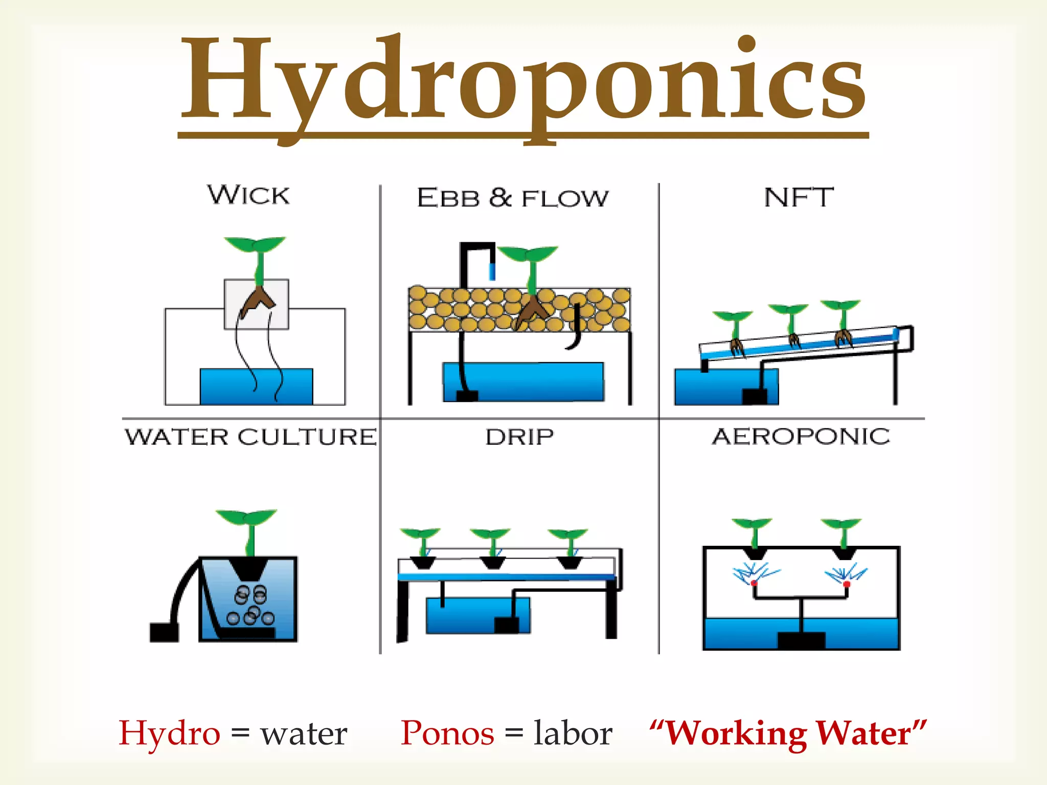 
Hydroponics
Hydro = water Ponos = labor “Working Water”
 