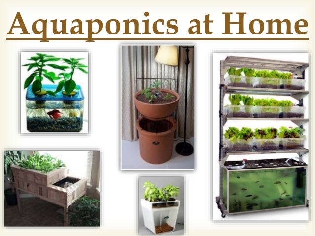 aquaponics at home 27 larger aquaponics systems shipping crate that